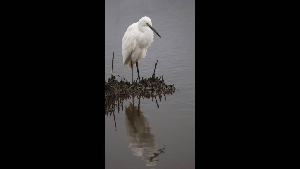 Fstop Foto - 191106 Dorset Slideshow.045